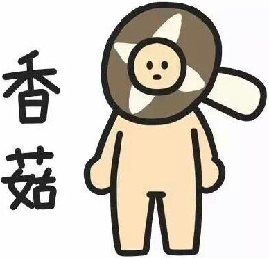 二建復(fù)習(xí)書太厚 藍(lán)瘦香菇